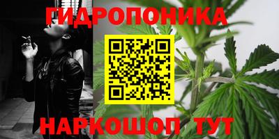соль ск Рузаевка