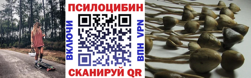 Псилоцибиновые грибы Magic Shrooms  Курган 