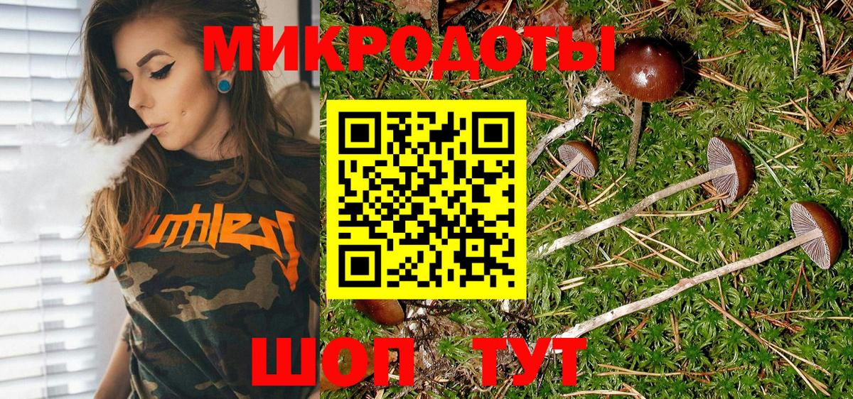 Псилоцибиновые грибы прущие грибы Курган