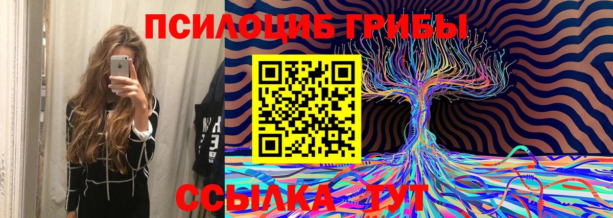 Псилоцибиновые грибы Psilocybine cubensis  Курган  Галлюциногенные грибы мухоморы 