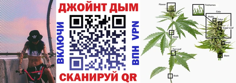 Конопля SATIVA & INDICA  наркотики  Курган 